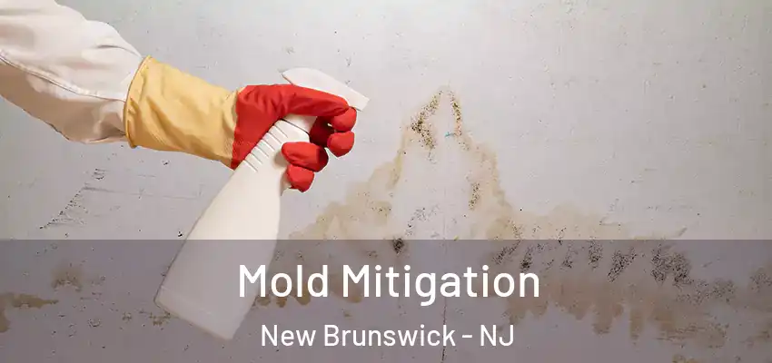  Mold Mitigation New Brunswick - NJ