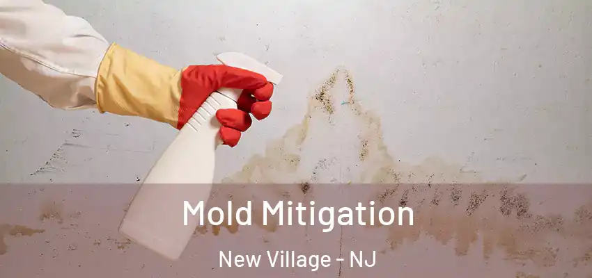 Mold Mitigation New Village - NJ