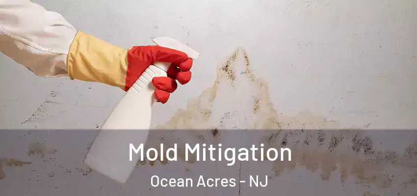  Mold Mitigation Ocean Acres - NJ