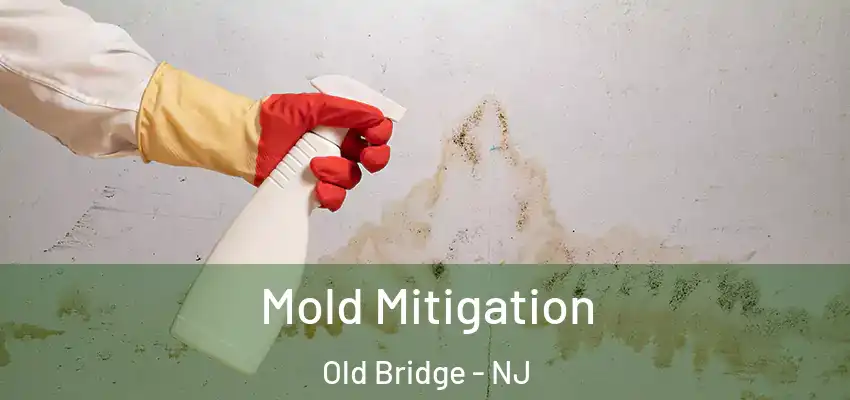  Mold Mitigation Old Bridge - NJ
