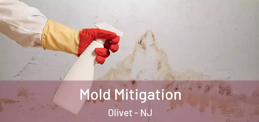 Mold Mitigation Olivet - NJ