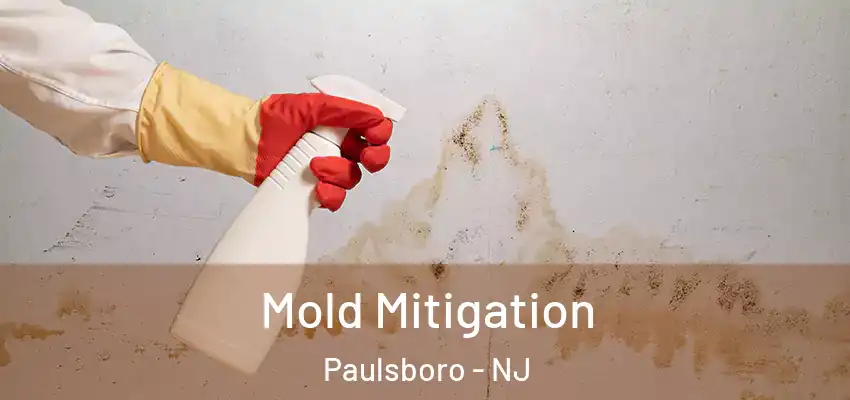  Mold Mitigation Paulsboro - NJ