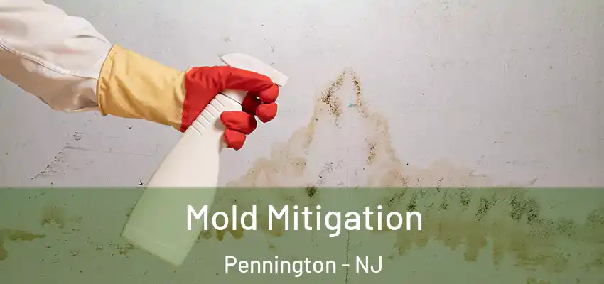  Mold Mitigation Pennington - NJ