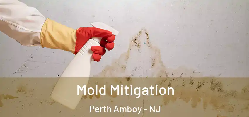  Mold Mitigation Perth Amboy - NJ