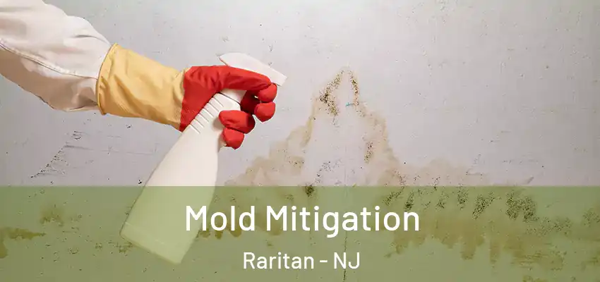  Mold Mitigation Raritan - NJ