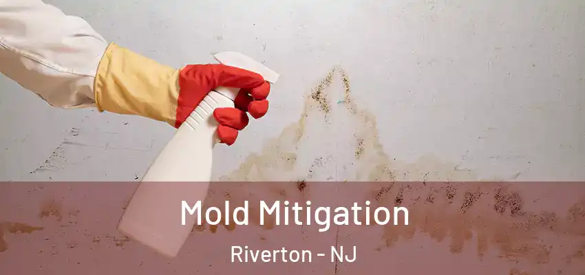 Mold Mitigation Riverton - NJ