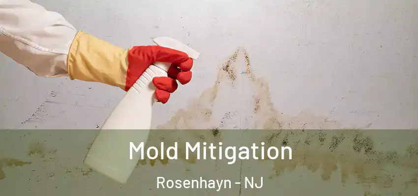  Mold Mitigation Rosenhayn - NJ
