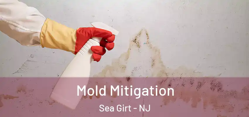 Mold Mitigation Sea Girt - NJ