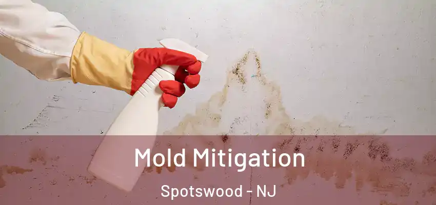  Mold Mitigation Spotswood - NJ