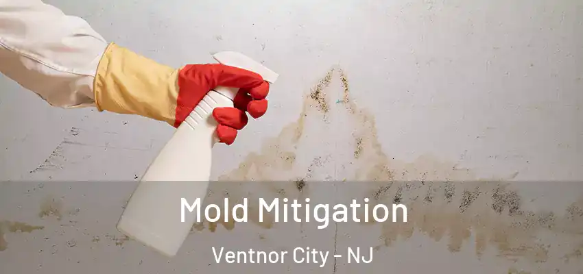  Mold Mitigation Ventnor City - NJ