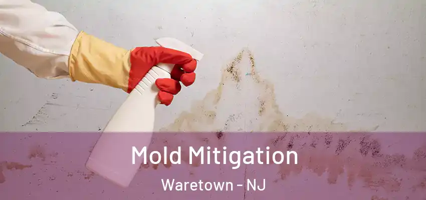  Mold Mitigation Waretown - NJ