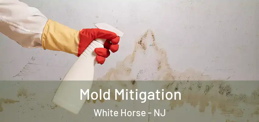  Mold Mitigation White Horse - NJ
