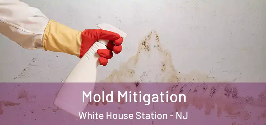Mold Mitigation White House Station - NJ