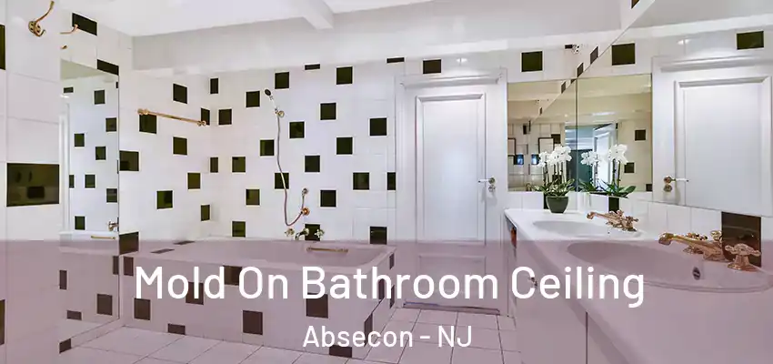  Mold On Bathroom Ceiling Absecon - NJ