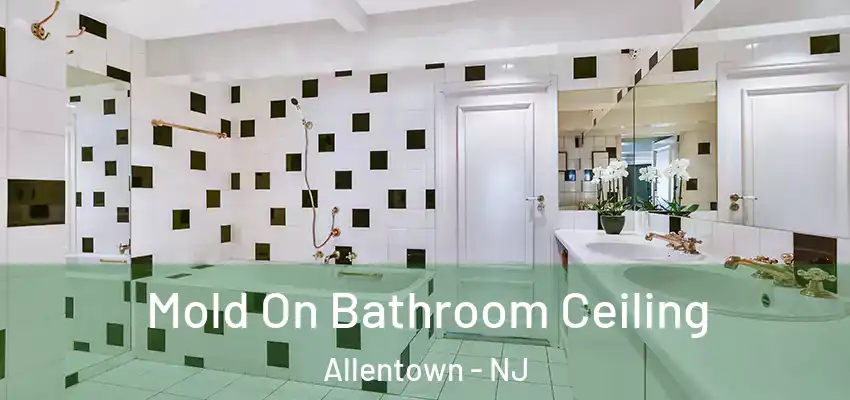  Mold On Bathroom Ceiling Allentown - NJ