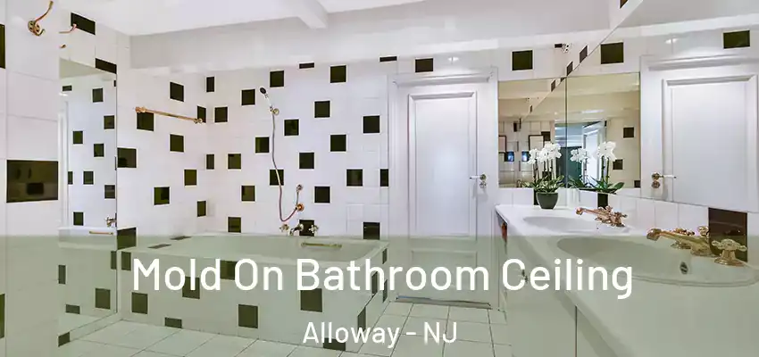  Mold On Bathroom Ceiling Alloway - NJ