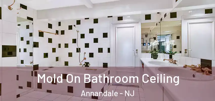  Mold On Bathroom Ceiling Annandale - NJ