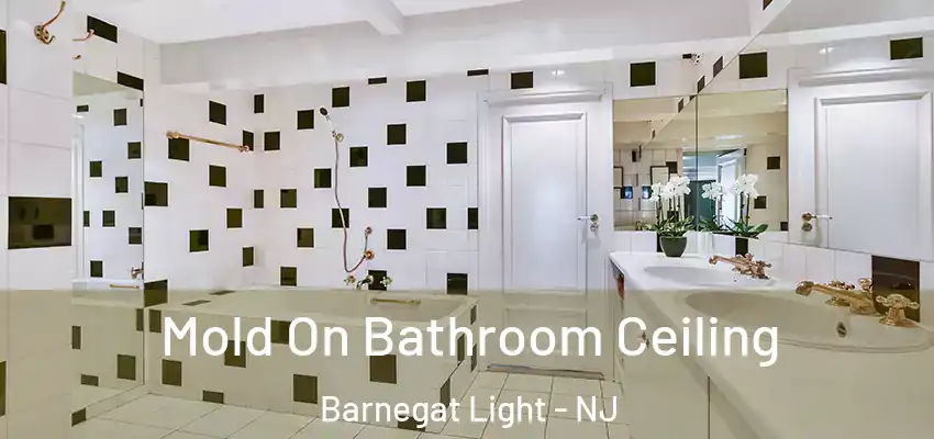Mold On Bathroom Ceiling Barnegat Light - NJ