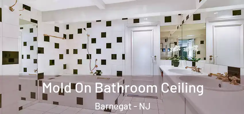  Mold On Bathroom Ceiling Barnegat - NJ