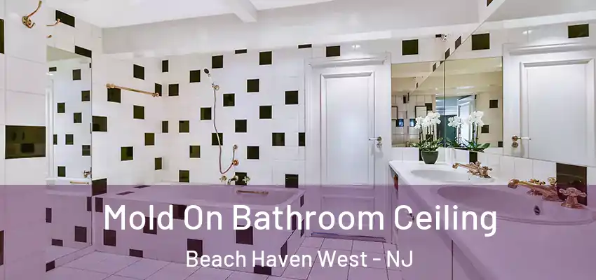 Mold On Bathroom Ceiling Beach Haven West - NJ