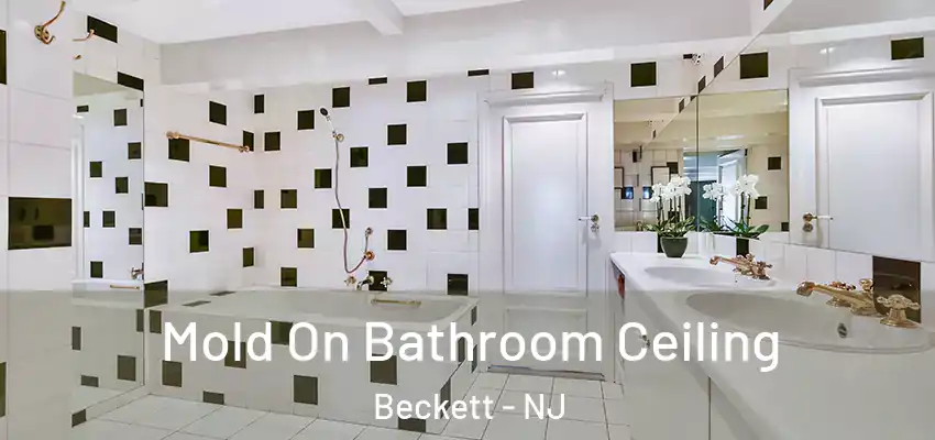  Mold On Bathroom Ceiling Beckett - NJ