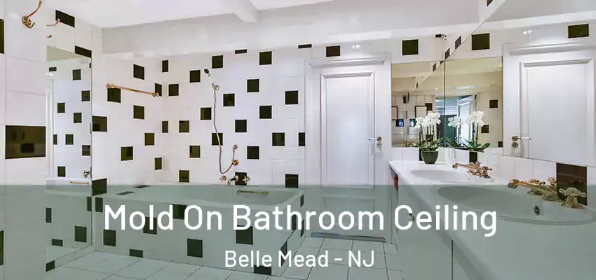 Mold On Bathroom Ceiling Belle Mead - NJ