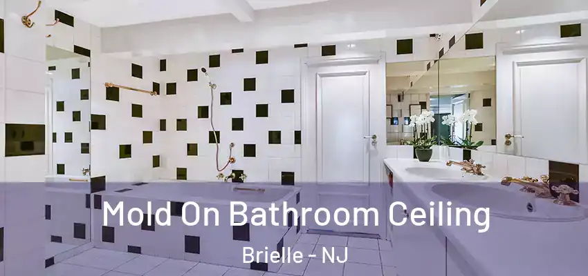  Mold On Bathroom Ceiling Brielle - NJ