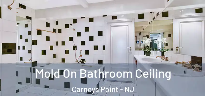  Mold On Bathroom Ceiling Carneys Point - NJ