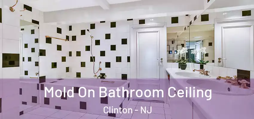  Mold On Bathroom Ceiling Clinton - NJ