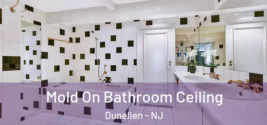  Mold On Bathroom Ceiling Dunellen - NJ