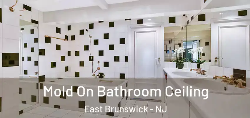 Mold On Bathroom Ceiling East Brunswick - NJ