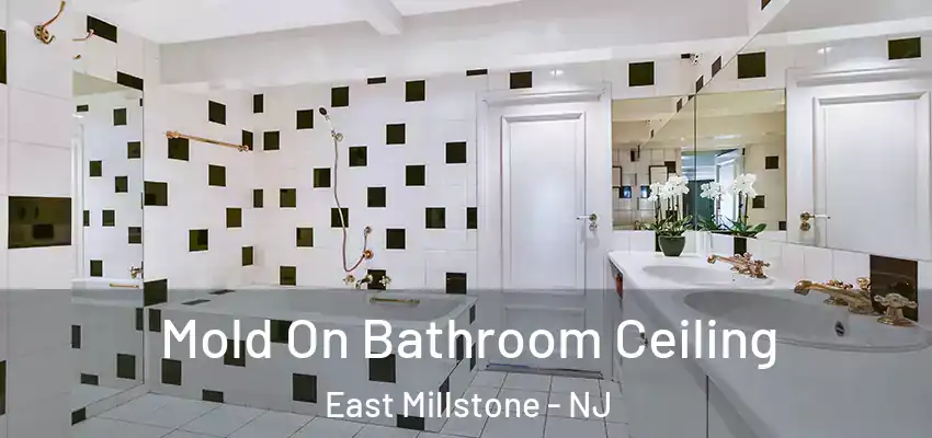 Mold On Bathroom Ceiling East Millstone - NJ
