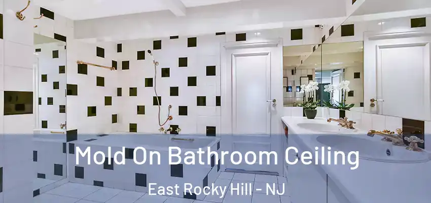 Mold On Bathroom Ceiling East Rocky Hill - NJ