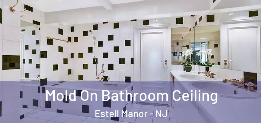 Mold On Bathroom Ceiling Estell Manor - NJ