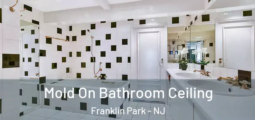 Mold On Bathroom Ceiling Franklin Park - NJ