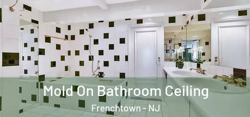 Mold On Bathroom Ceiling Frenchtown - NJ