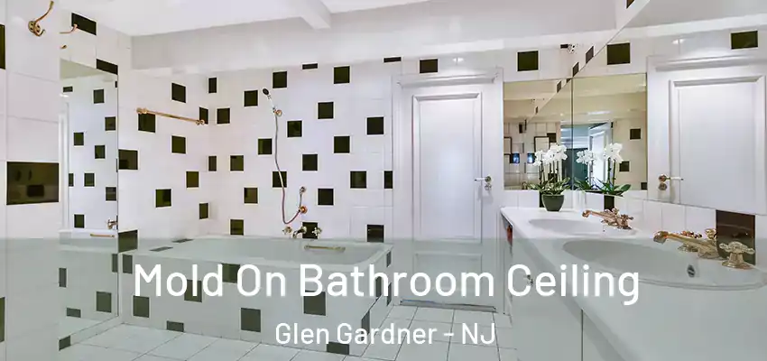 Mold On Bathroom Ceiling Glen Gardner - NJ