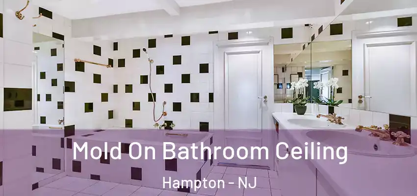  Mold On Bathroom Ceiling Hampton - NJ