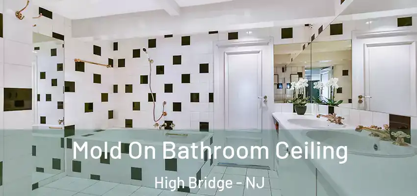  Mold On Bathroom Ceiling High Bridge - NJ