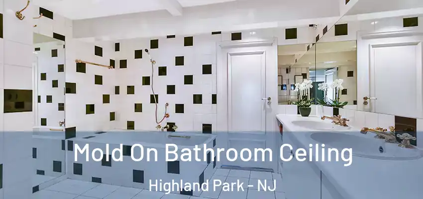 Mold On Bathroom Ceiling Highland Park - NJ