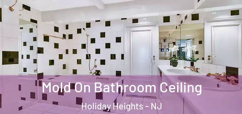  Mold On Bathroom Ceiling Holiday Heights - NJ