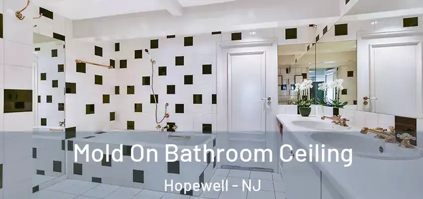 Mold On Bathroom Ceiling Hopewell - NJ