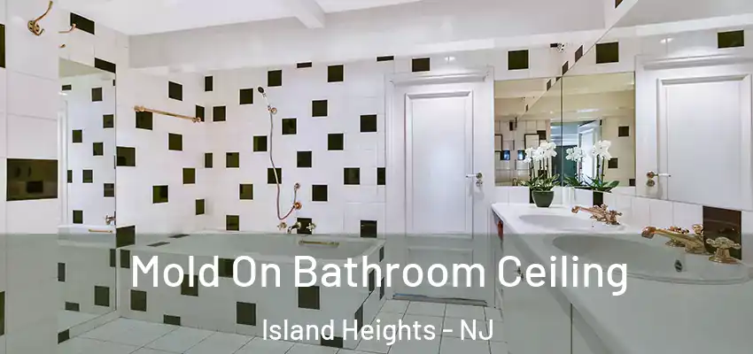 Mold On Bathroom Ceiling Island Heights - NJ