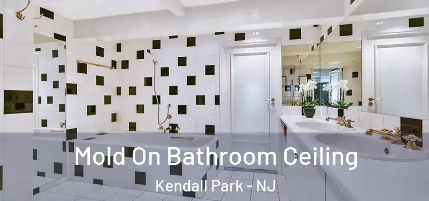 Mold On Bathroom Ceiling Kendall Park - NJ