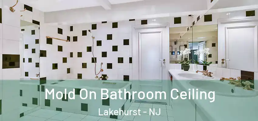 Mold On Bathroom Ceiling Lakehurst - NJ