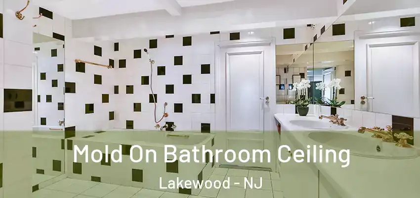  Mold On Bathroom Ceiling Lakewood - NJ