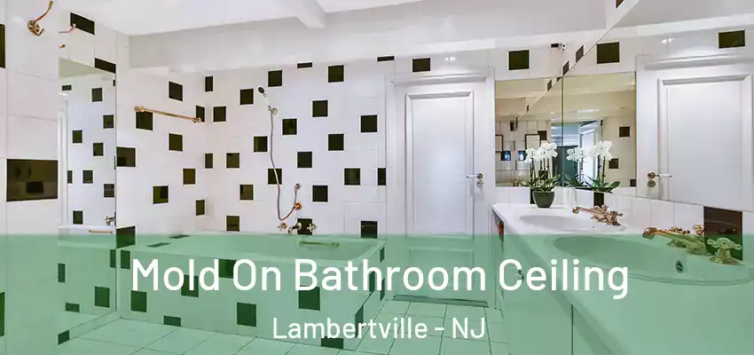 Mold On Bathroom Ceiling Lambertville - NJ