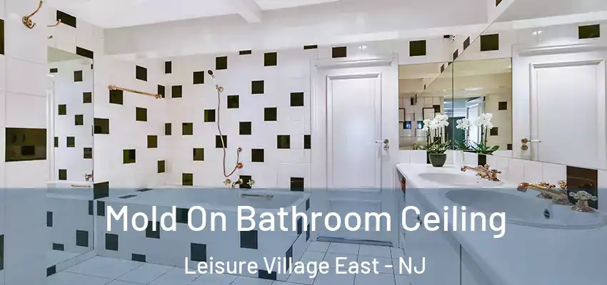  Mold On Bathroom Ceiling Leisure Village East - NJ
