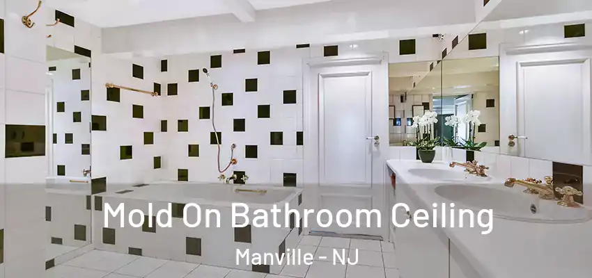 Mold On Bathroom Ceiling Manville - NJ