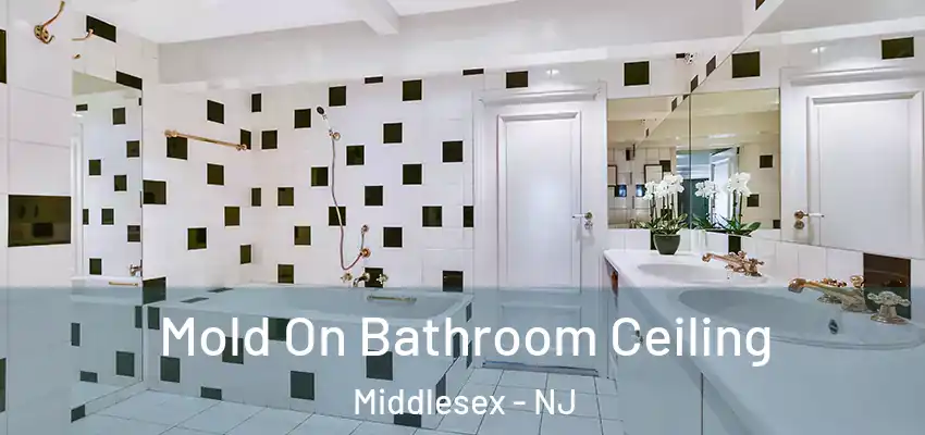  Mold On Bathroom Ceiling Middlesex - NJ